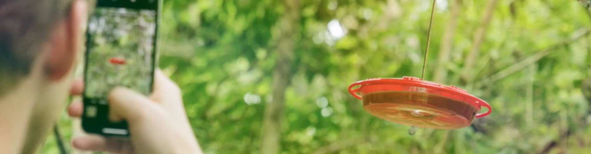 Citizen Science Apps and interactive tools Observing nature with a Citizen Science App